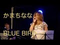 かまちなな / BLUE BIRD (浜崎あゆみ カバー) / Live@下北沢Laguna (2016.7.24)