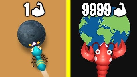 STRONGEST BUG EVOLUTION! Max Level Strong & Speed in Bumpit.io! (9999+ Level Bug!)