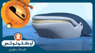 أوكتونوتس | 🐋 الحيتان الحدباء 🐋 | السلسلة 3 | الحلقة 5