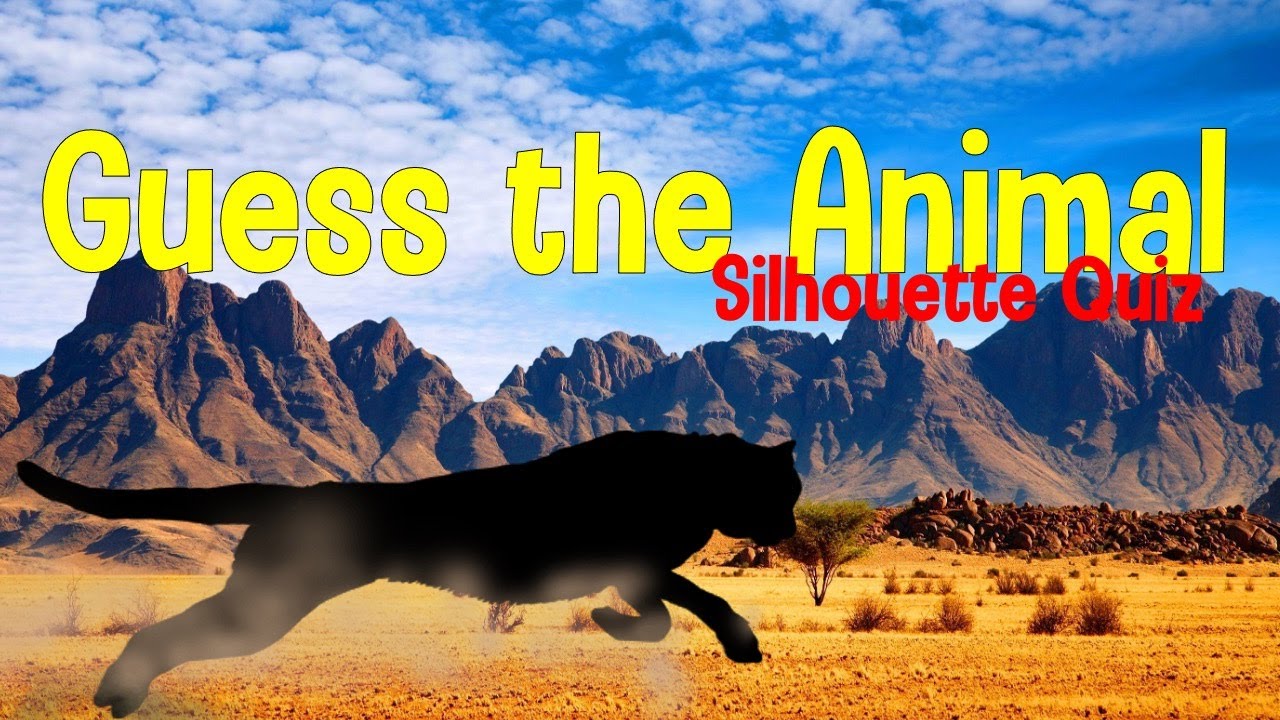 Play: Animal Shadow Game · Animal Quiz | Piko