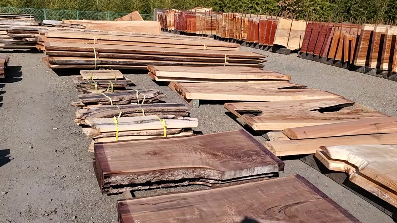 岐阜、平野木材の市場の下見