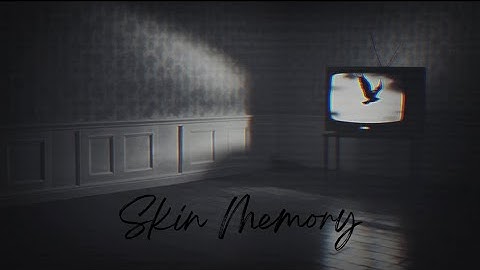 Skin Memory