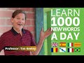 This super hack helps you learn 1000 new words a day in 7 romance languages