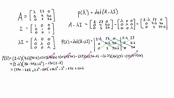 Find the characteristic polynomial of a matrix