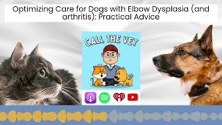 Optimizing Care for Dogs with Elbow Dysplasia (and arthritis): Practical Advice