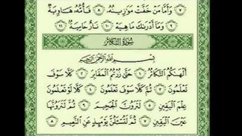 سورة التكاثر الشيخ أبو بكر الشاطري