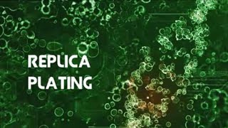 Replica Plating