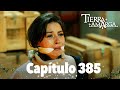 Tierra amarga  captulo 385