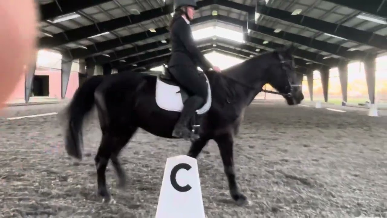 Sarah Airhart - Pantera - Eventing Starter Test