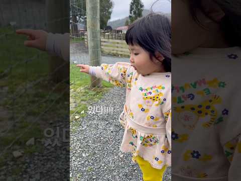 #장혜리일상 #24개월아기 #뉴질랜드육아