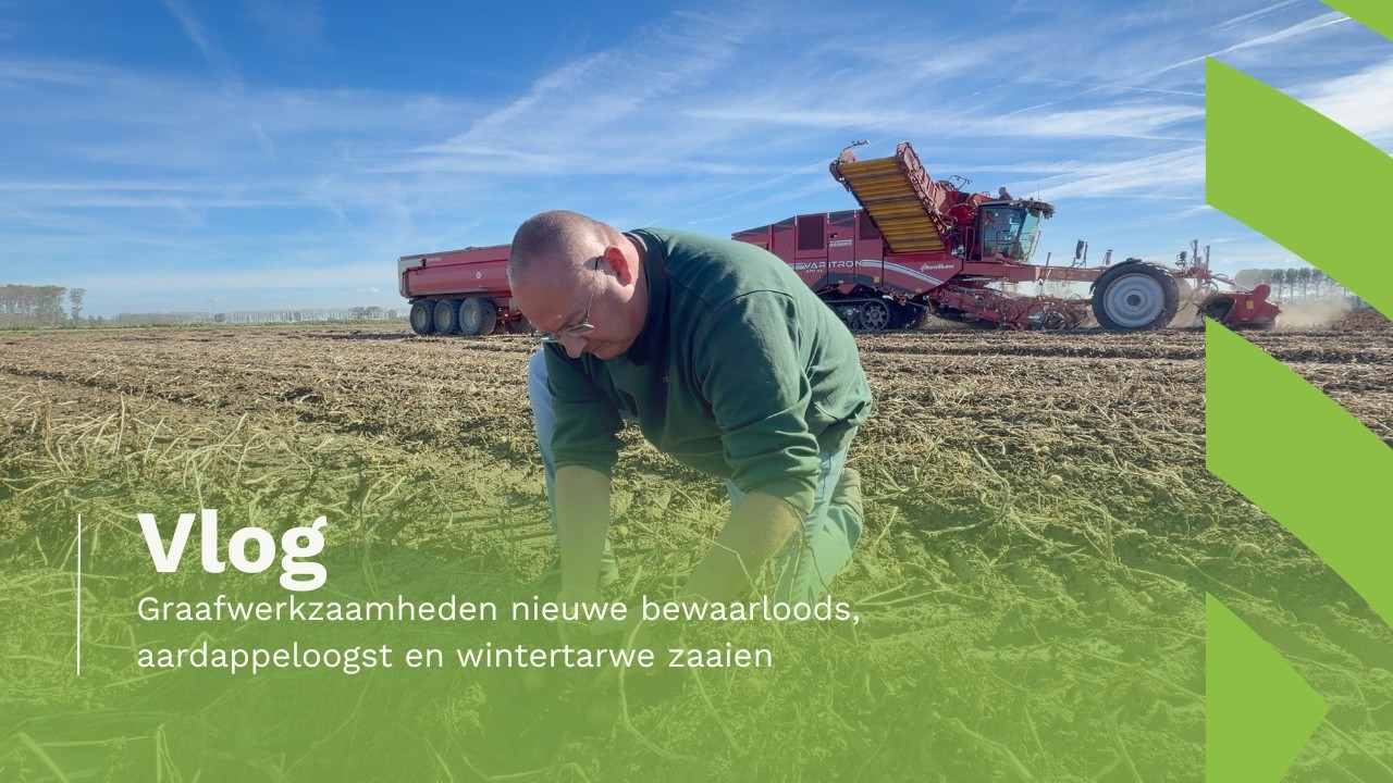 VLOG | Graafwerkzaamheden nieuwe bewaarloods, aardappeloogst en wintertarwe zaaien