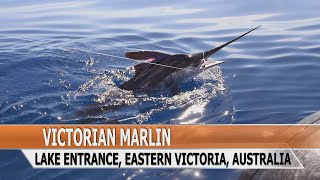 Fishing Edge episode  Lakes Entrance Marlin