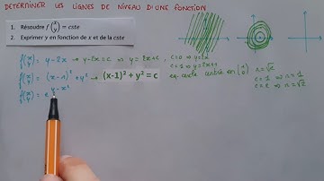 Déterminer les LIGNES de NIVEAU - Fonctions à plusieurs var - Méthode & Exemple -Maths Bac+1 / Bac+2