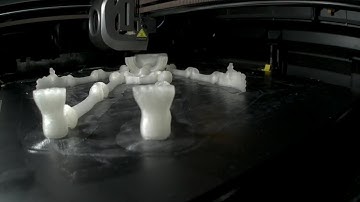3D printing timelapse - Articulated skeleton
