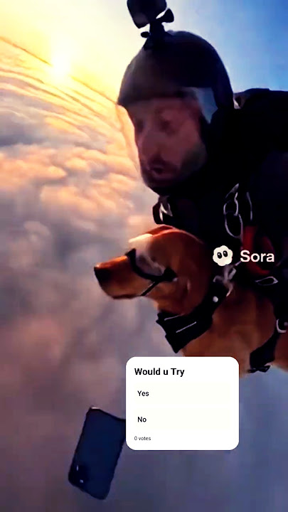 Download lagu Man & Dog Skydive, Until His Phone Falls from the Sky! #trendingshorts