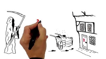 What is Vector Control?