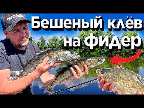РЫБАЛКА НА ФИДЕР!