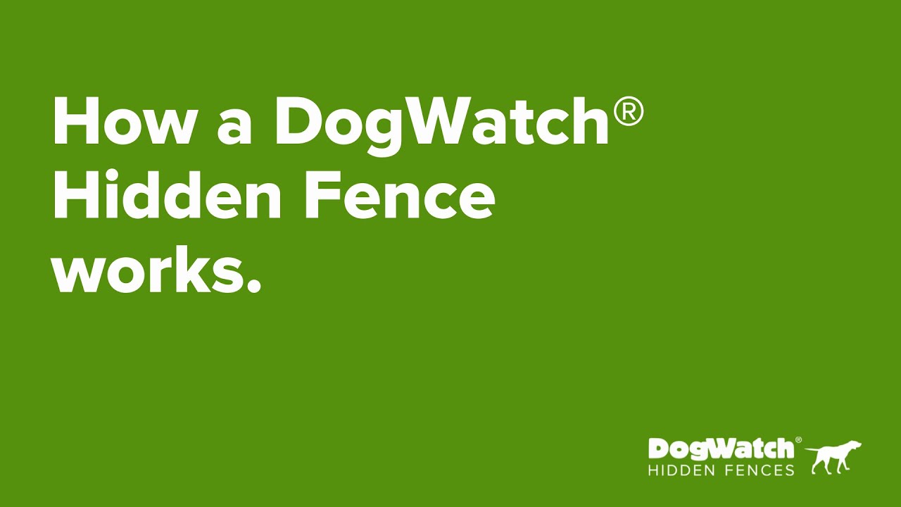 Keeping your pets SAFE How a DogWatch® Hidden Fence works!