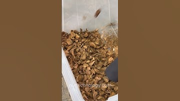 Industrial Almond Cracker: Gentle Cracking, 90% Whole Kernel