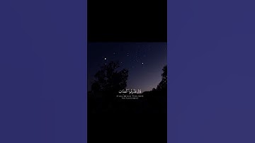 وَيَوْمَ يُعْرَضُ الَّذِينَ كَفَرُوا عَلَى النَّارِ ||تلاوة خاشعة بصوت الشيخ يوسف الصقير 💗🌿