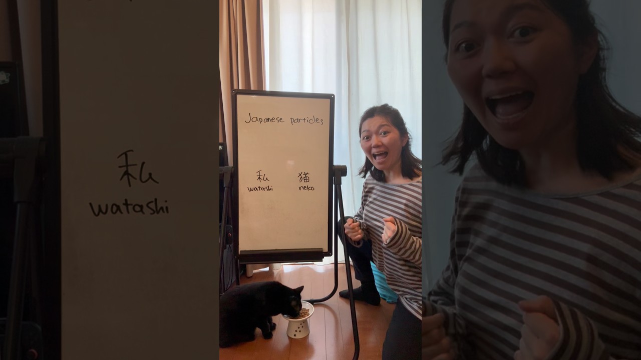 Particles は (wa)、が (ga)、も (mo) #japaneselesson #japaneselanguage