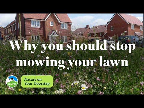 Video: Wanneer stoppen met grasmaaien?