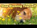 What Your Dog Wishes You Knew After They’ve Gone