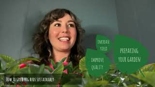 Holistic Horticulture Class Series: How to Grow Big Buds Sustainably (Part 2)