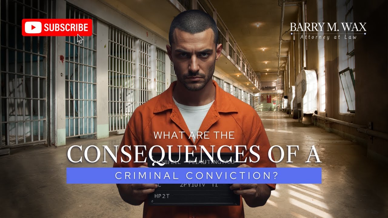 What Are the Consequences of a Criminal Conviction?