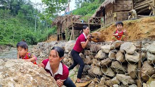 The process of repairing the farm after the flood | Harvesting luffa for sale