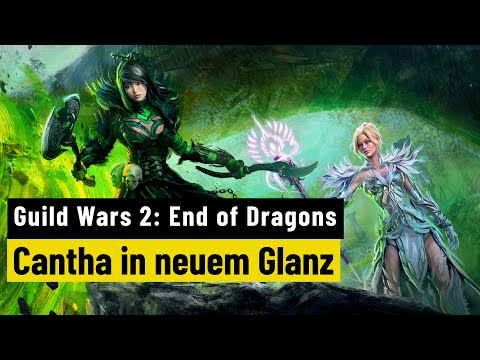 Guild Wars 2: Test - PC Games - End of Dragons