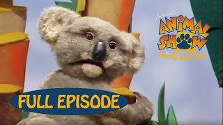 Animal Show | Koala 🐨 / Ostrich | Jim Henson Family Hub | Kids Cartoon