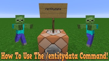How To Use The /entitydata Command!