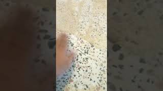 Mozaik kaplama