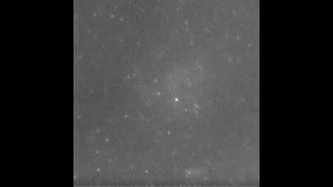 Single molecule spectroscopy