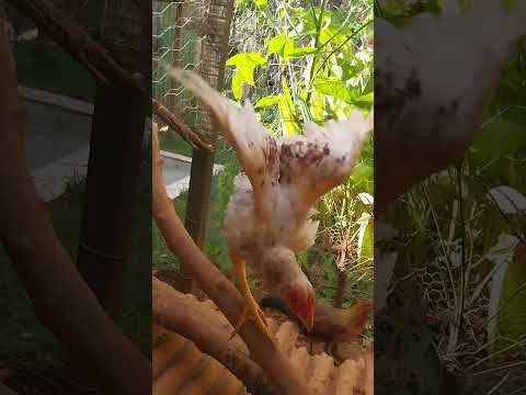 30 de março de 2026