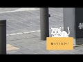 ねこ活動 #04