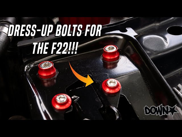 MORE RED ACCENTS FOR MY ENGINE BAY!!! | F Chassis Dress-Up Bolt Kit DIY MORE RED ACCENTS FOR MY ENGINE BAY!!! | F Chassis Dress-Up Bolt Kit DIY