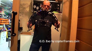 TwoDee EVO Gimbal Mirrortest