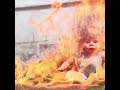 Middle of video