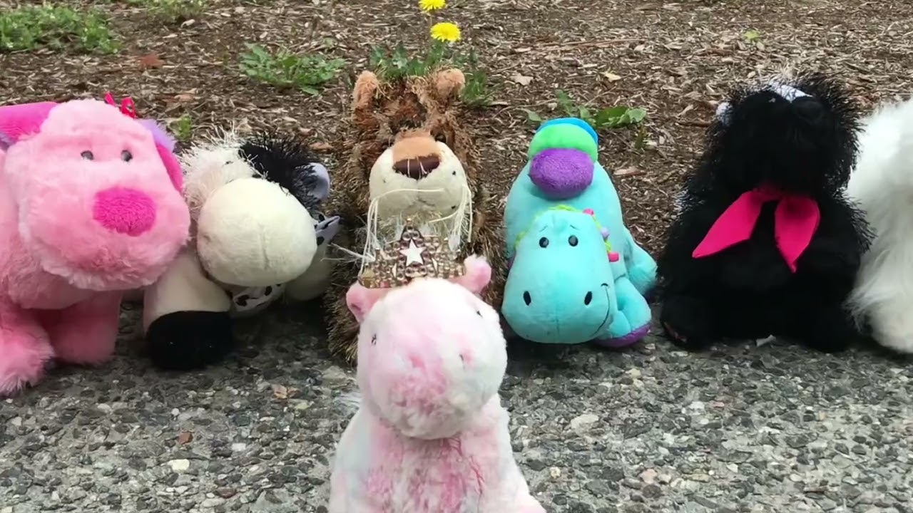 The Prettiest Pink Pony In Town - Webkinz mv *OLD VIDEO* || TanoKinz