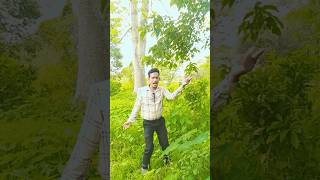 #shorts #short #viral #tranding #shortsfeed