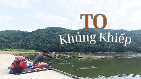 Còng Lưng Vì Con Chép Và Lý Do Hàn Nhật Chọn Cá Diếc Làm Con Cá Quốc Dân