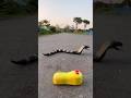 Rc Snake Testing #shorts #flying