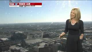 Garden Bee 'attacks' Meteorologist Jennifer Ketchmark during weather forecast Garden Guide