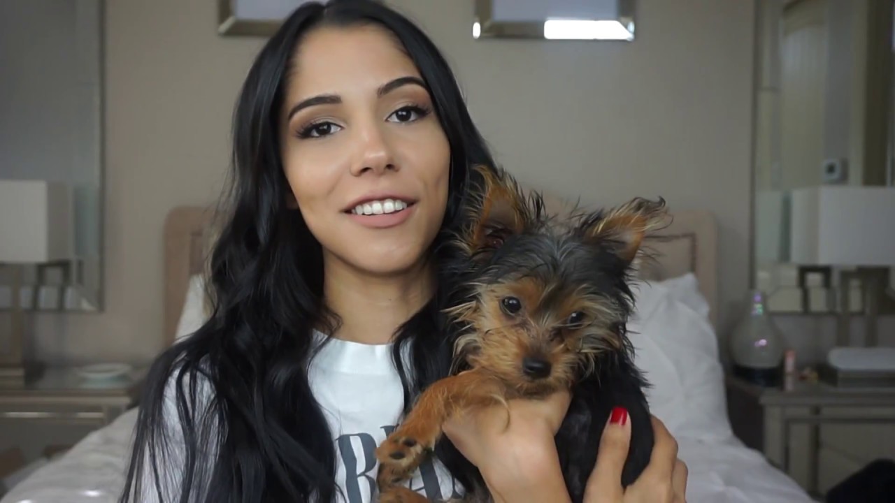 Meet Our Cute Yorkie Puppy, Rollo! | NISSA PACHECO - YouTube