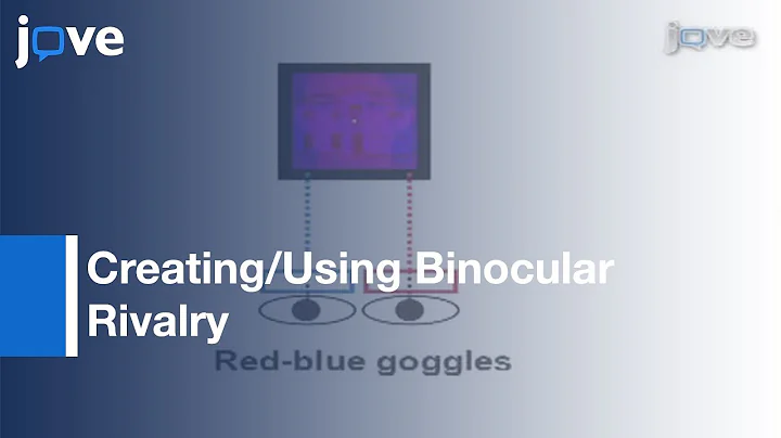 How To Create & Use Binocular Rivalry l Protocol P...