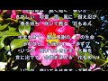 命~花もめん~    オリジナル:加藤大知  歌唱:マスダアイ