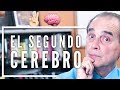 Episodio #1570 El segundo cerebro