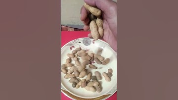 satisfying reverse video #satisfying #reverse #video #oddlysatisfying #shorts